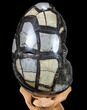 Septarian Dragon Egg Geode - Black Crystals #88188-2